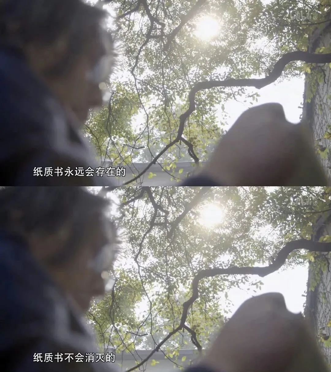 slx8p3fq.png